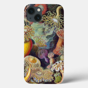 Haeckel Actiniae Vintage-Druck Case-Mate iPhone Hülle