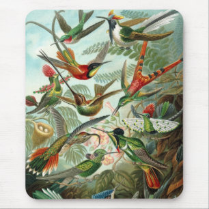 Haeckel Birds Mousepad