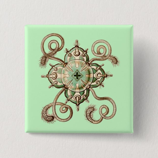 Haeckel Button (Vorderseite)