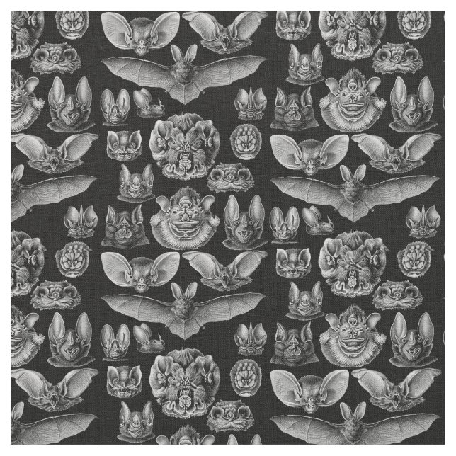 Haeckel Chiroptera 1904 Stoff (Nahaufnahme)