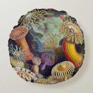Haeckel ~ Coussins d'anémones de mer