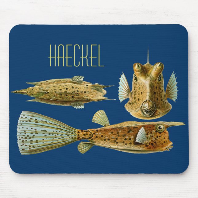 Haeckel-Fisch Mousepad (Vorne)