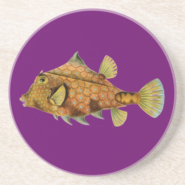 Haeckel Fish Getränkeuntersetzer (Vorne)