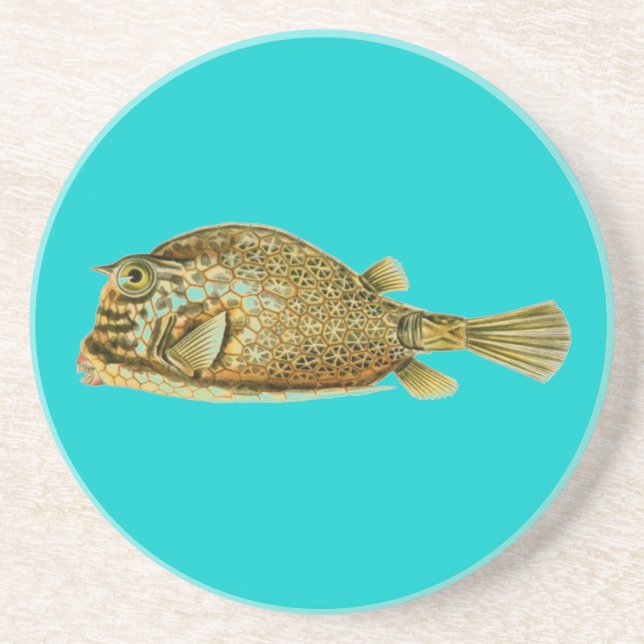 Haeckel Fish Getränkeuntersetzer (Vorne)