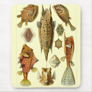 Haeckel Fish Mousepad