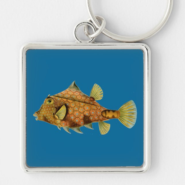 Haeckel Fish Schlüsselanhänger (Vorne)