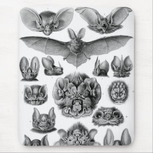 Haeckel-Fledermäuse Mousepad