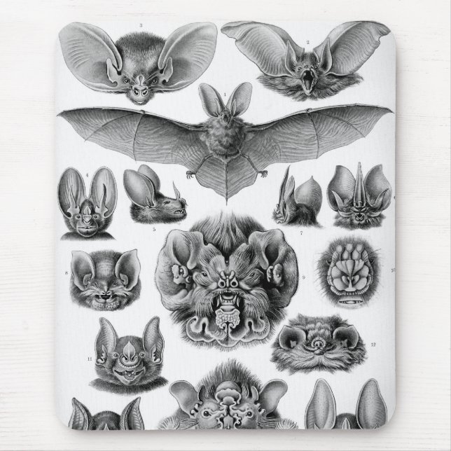 Haeckel-Fledermäuse Mousepad (Vorne)