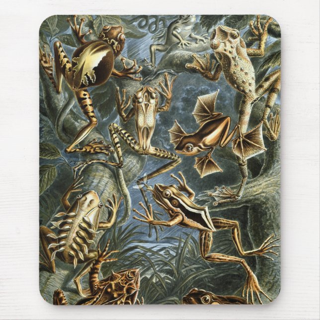 Haeckel Frösche Mousepad (Vorne)