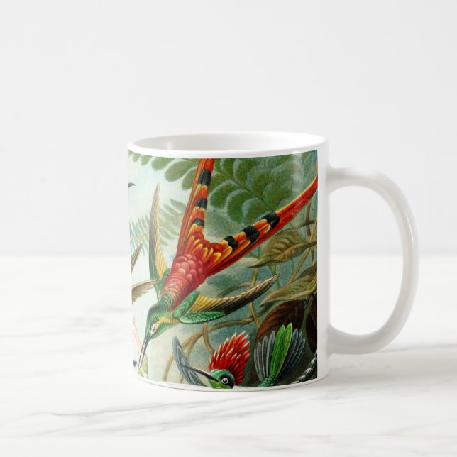 Haeckel Hummingbirds Kaffeetasse (Rechts)