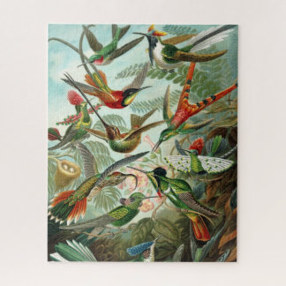 Haeckel Hummingbirds Puzzle