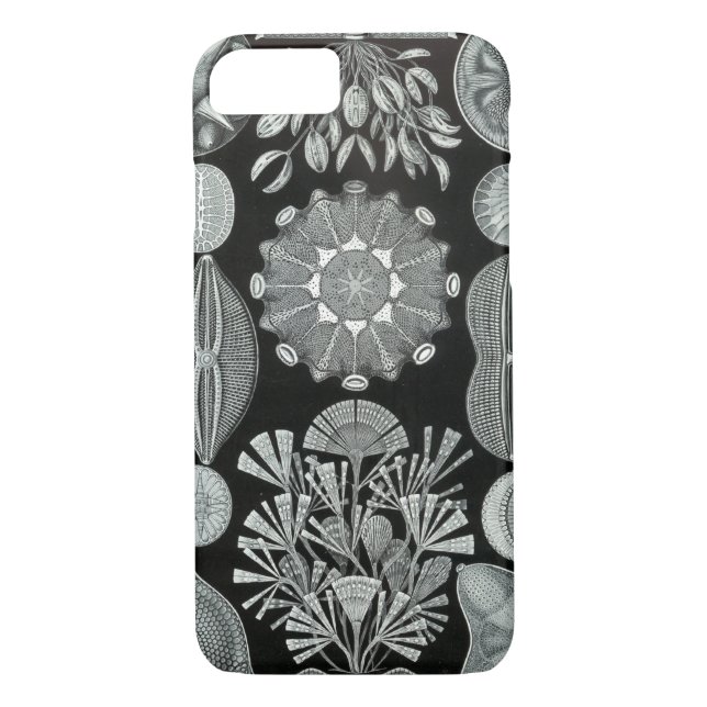 Haeckel iPhone 7 Fall - Diatomea Case-Mate iPhone Hülle (Rückseite)