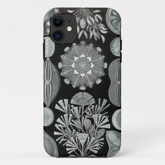 Haeckel iPhone Case - Diatomea (Rückseite)