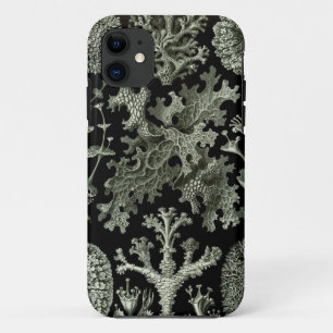 Haeckel iPhone Case - Flechten