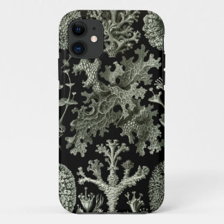Haeckel iPhone Case - Lichenes