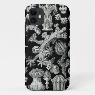 Haeckel iPhone Fall - Gorgonida title_seo2