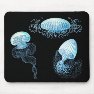Haeckel Jellyfish Mousepad