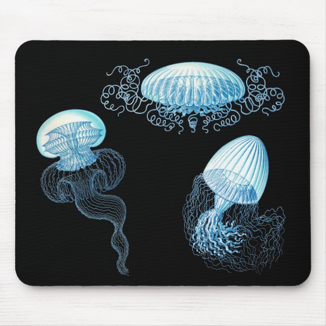 Haeckel Jellyfish Mousepad (Vorne)