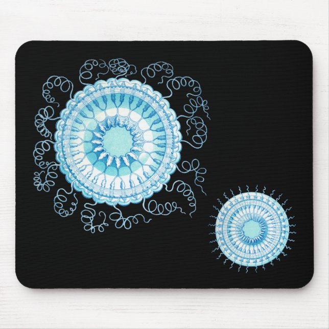 Haeckel Jellyfish Mousepad (Vorne)