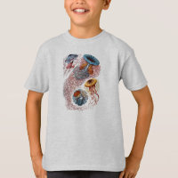 Haeckel Jellyfish Study T - Shirt