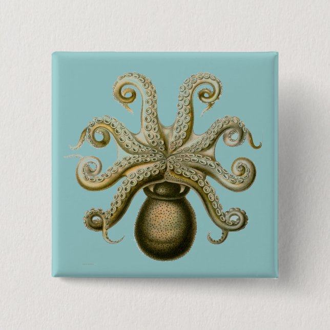 Haeckel Krake Button (Vorderseite)