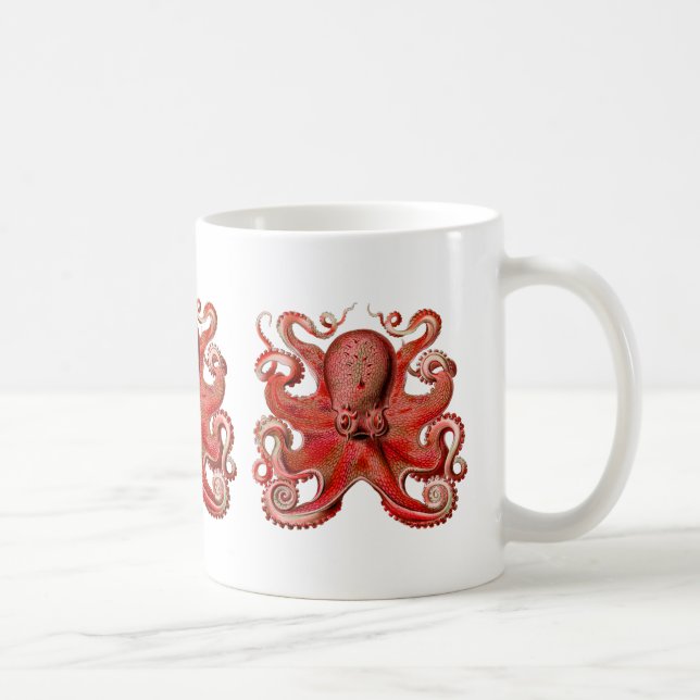 Haeckel Kraken-Rot Kaffeetasse (Rechts)