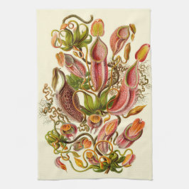 Haeckel Krug-Pflanzen-botanische Illustration Handtuch