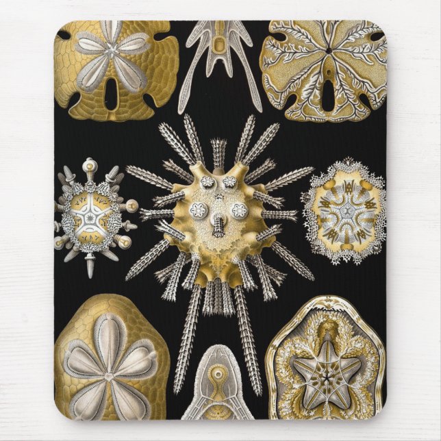 Haeckel-Meereswelt Mousepad (Vorne)