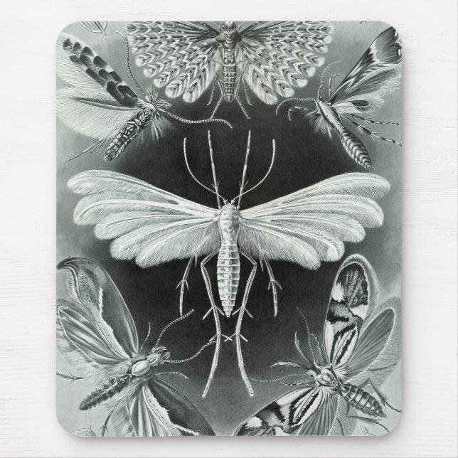 Haeckel Moths Mousepad (Vorne)