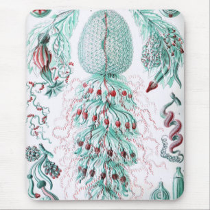 Haeckel Mousepad