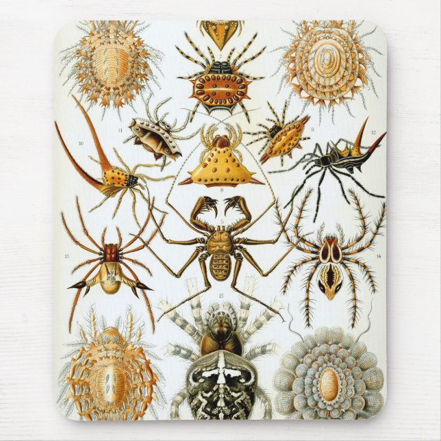 Haeckel Mousepad (Vorne)