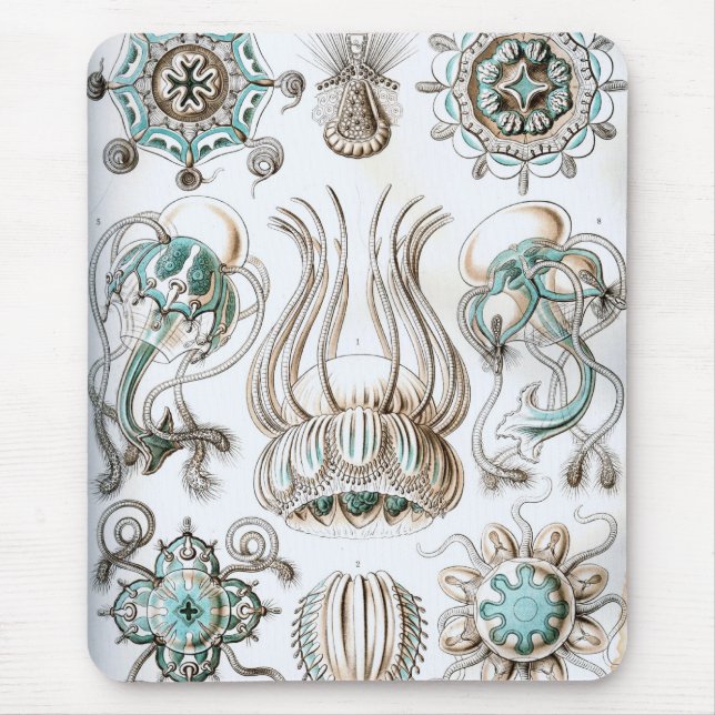 Haeckel Mousepad (Vorne)