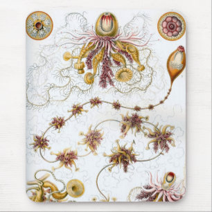 Haeckel Mousepad