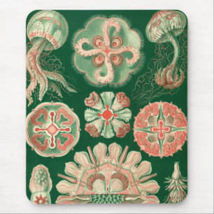 Haeckel Mousepad