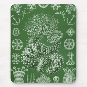 Haeckel Mousepad