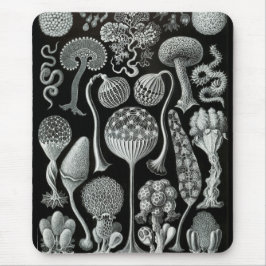 Haeckel Negativ Mousepad