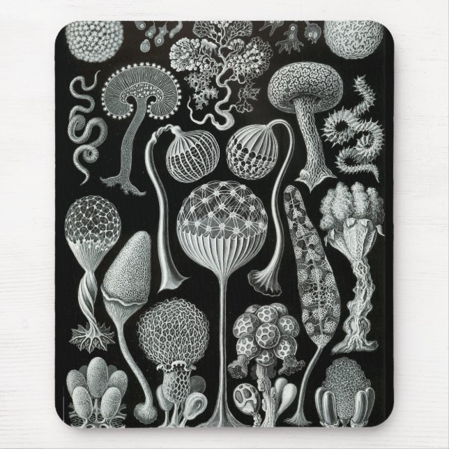 Haeckel Negativ Mousepad (Vorne)