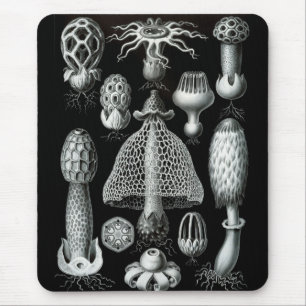 Haeckel-Negativ Mousepad