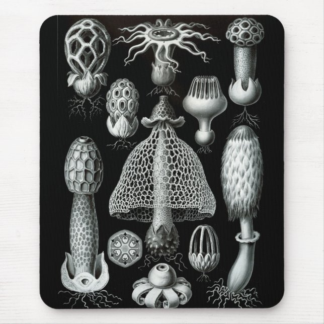 Haeckel-Negativ Mousepad (Vorne)