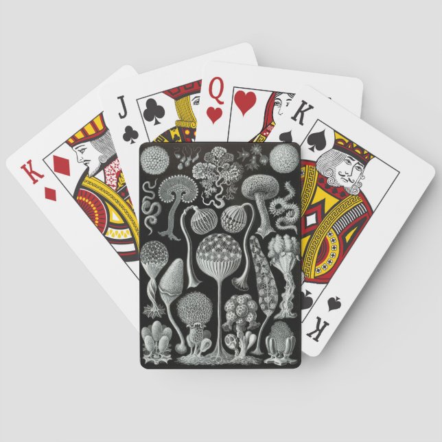 Haeckel Negativ Spielkarten (Rückseite)