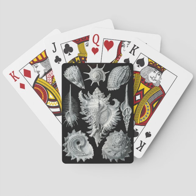 Haeckel Negativ Spielkarten (Rückseite)