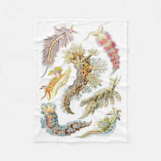 Haeckel Nudibranchia-Fleece-Decke Fleecedecke