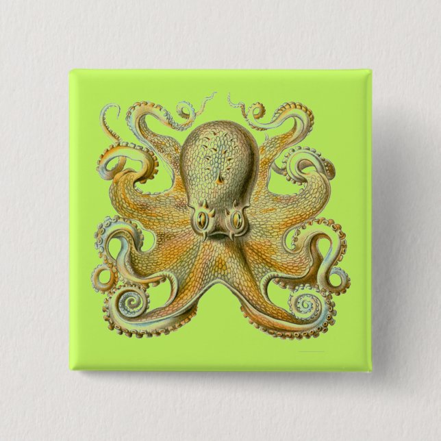 Haeckel Octopus Button (Vorderseite)