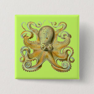Haeckel Octopus Button