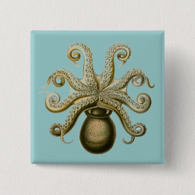 Haeckel Octopus Button (Vorderseite)