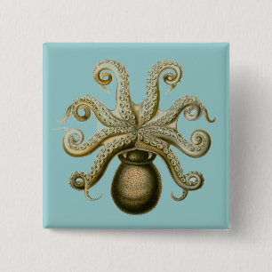 Haeckel Octopus Button