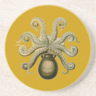 Haeckel Octopus Getränkeuntersetzer