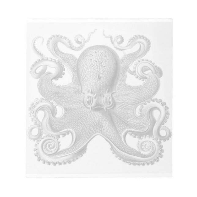 Haeckel Octopus Notepad Notizblock (Vorderseite)