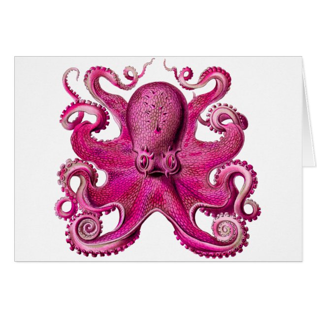 Haeckel Octopus rose (Devant horizontal)