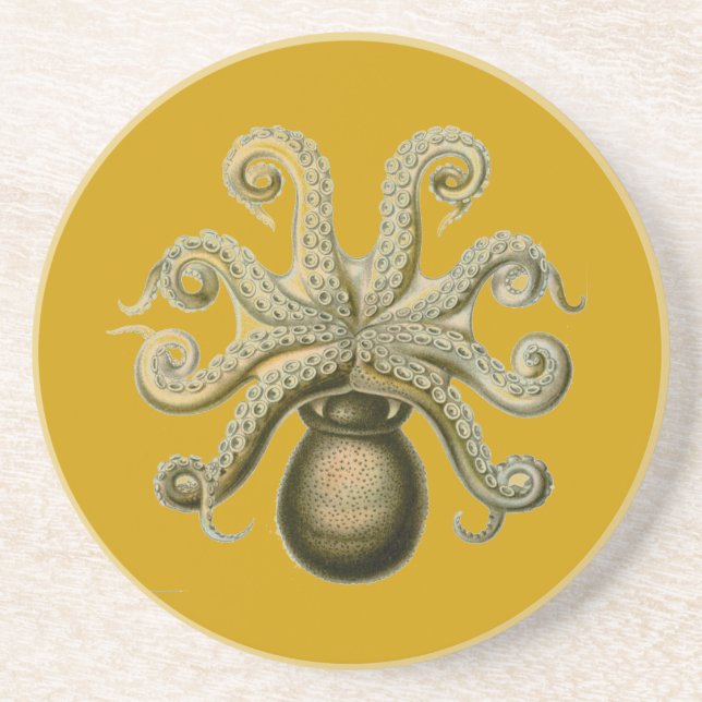 Haeckel Oktopus Getränkeuntersetzer (Vorne)